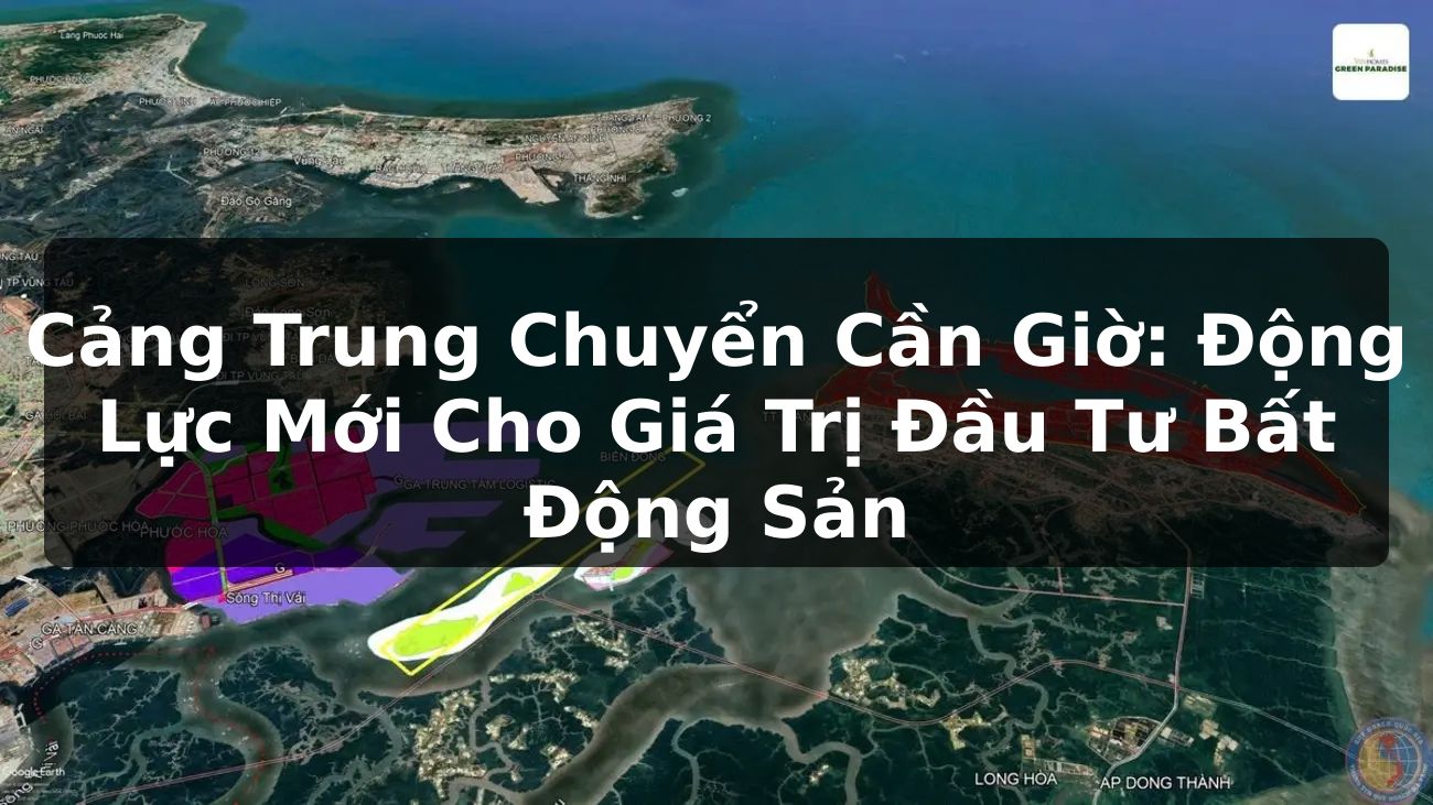 Cảng Trung Chuyển Cần Giờ: Động Lực Mới Cho Giá Trị Đầu Tư Bất Động Sản