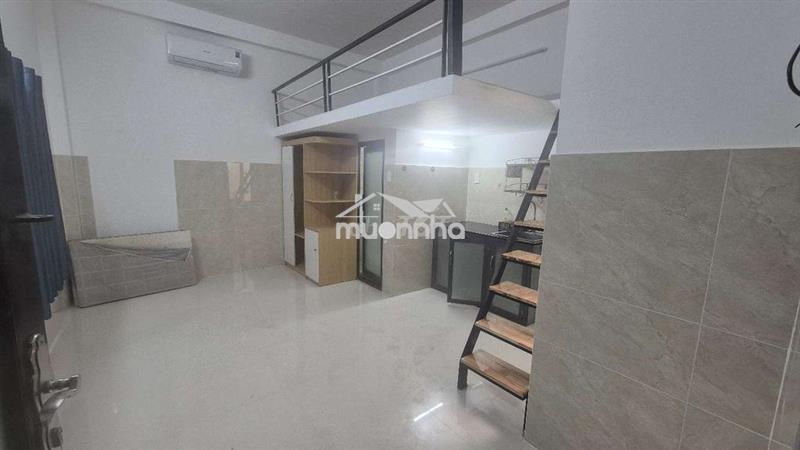 Học Tập & Hành Động: Bí Kíp Cho Sinh Viên Thành Công