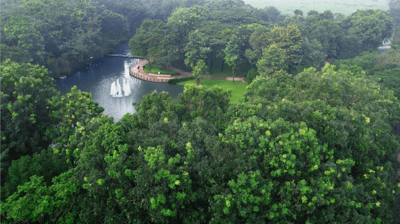 image-celadon-city-01